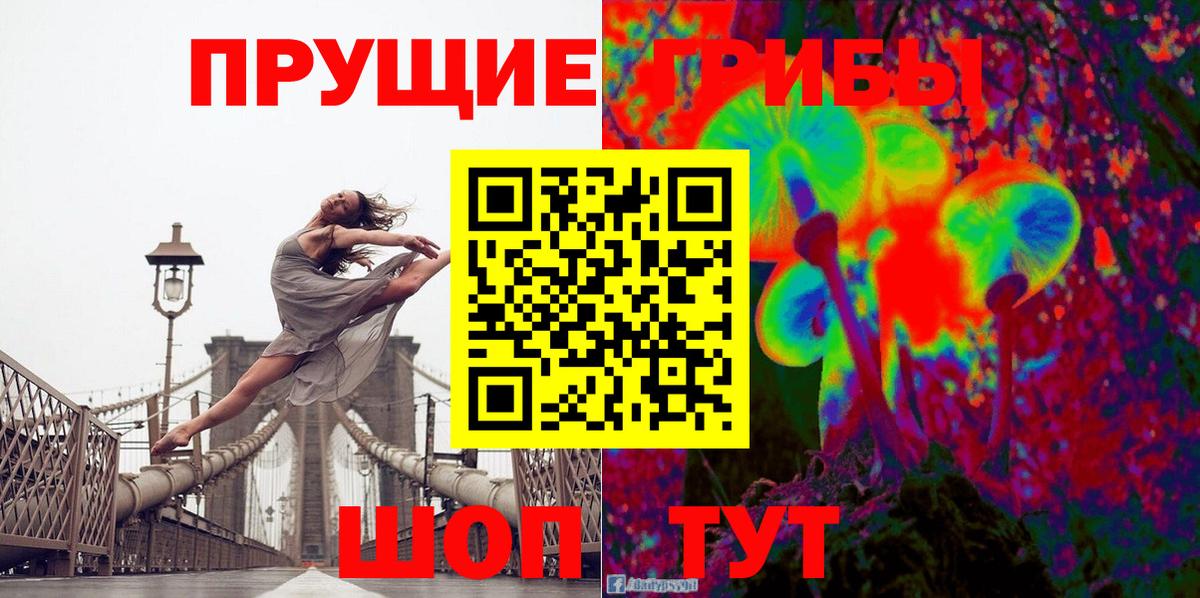 даркнет сайт  Псилоцибиновые грибы GOLDEN TEACHER  Вход с VPN  Лесной 